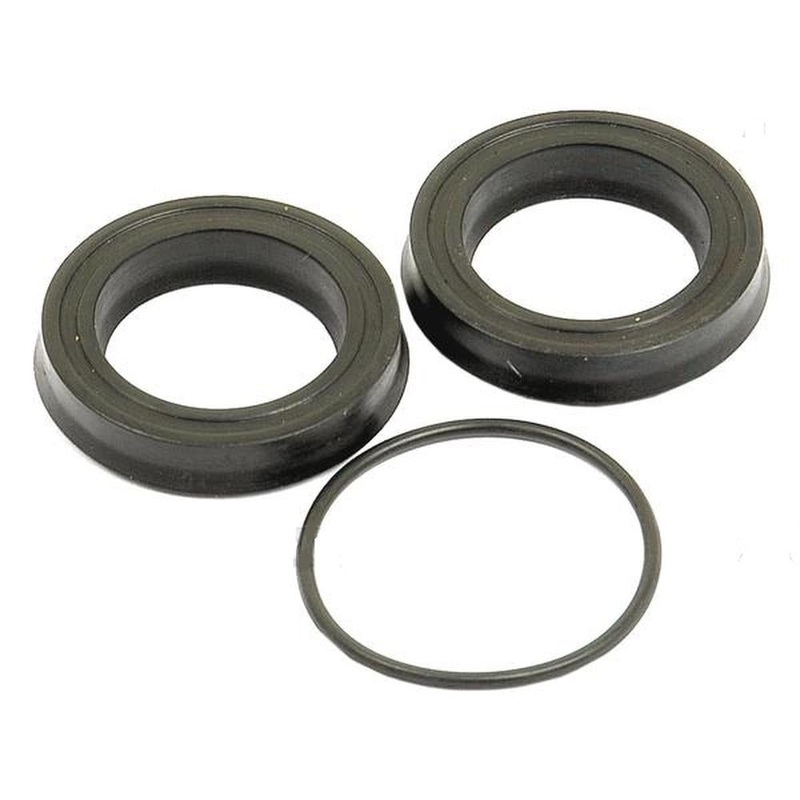 1810917M94 Brake Slave Cylinder Repair Kit Fits Massey Ferguson 4255 4260 4265