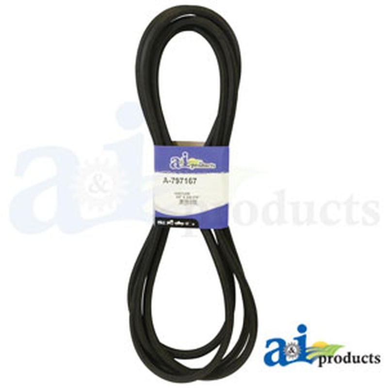 797167 HUSTLER BELT