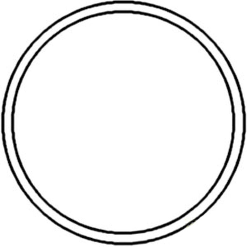 S.66304 O-Ring, 373227S, 83416992 Fits Ford/New Holland