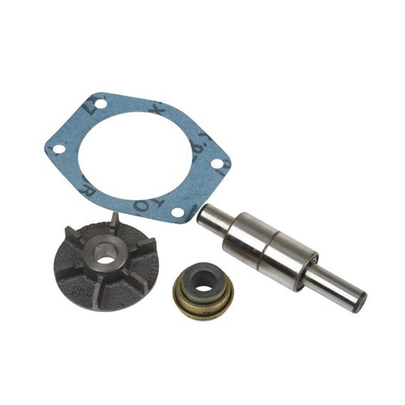 731774M91 Services Pumps Repair Kit Fits Massey Ferguson Tractor Models