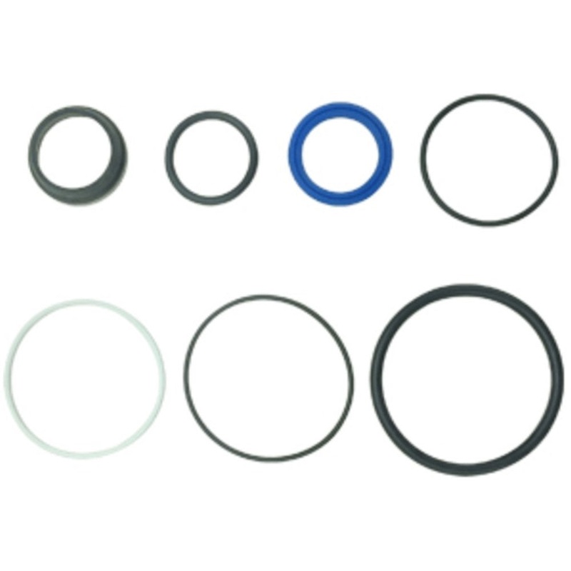 Power Steering Cylinder Seal Kit Fits Massey Ferguson 230, 245 After 9A282529
