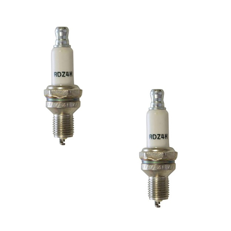 (2) Spark Plug Fits Rotary 14308 Fits Champion Replaces RDZ4H Fits MTD 794-00043
