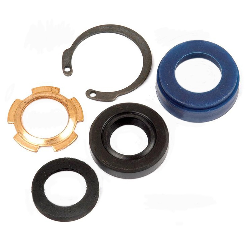 Steering Cylinder Seal Kit Fits Ford New Holland 87045114 CAPN3301B