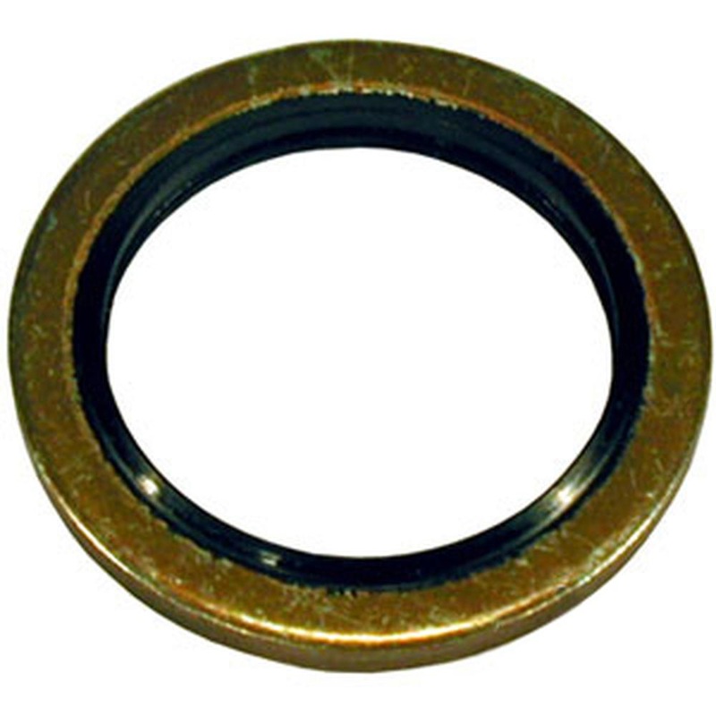 1888008M1 Fits Massey Ferguson Tipping Pipe Banjo Bolt Liftcover Seal 40 135