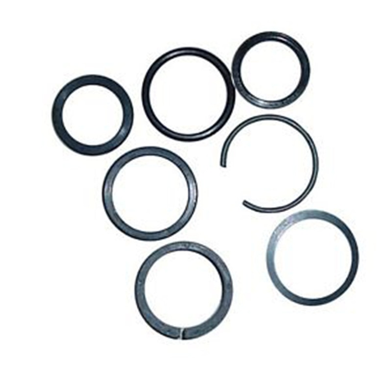 9600405 Grapple Cylinder Seal Kit Fits New Holland L565 LX565 LX665