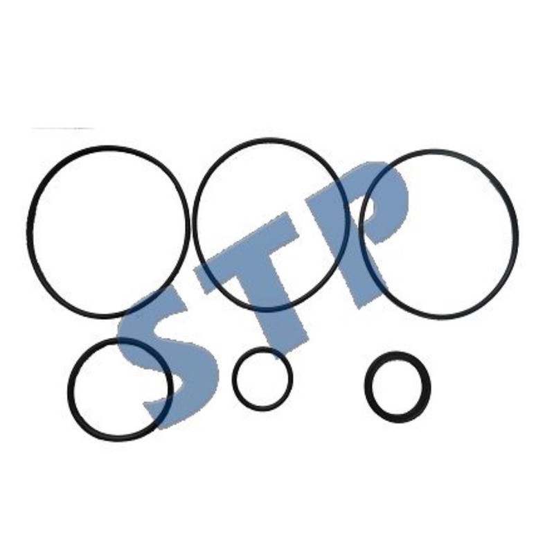 FAX-F-3A244AA-SK Seal Kit for Steering Motor E4NN3A244AA