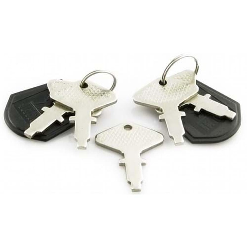 TX10998 Ignition Keys (Pkg. of 2) Fits Long