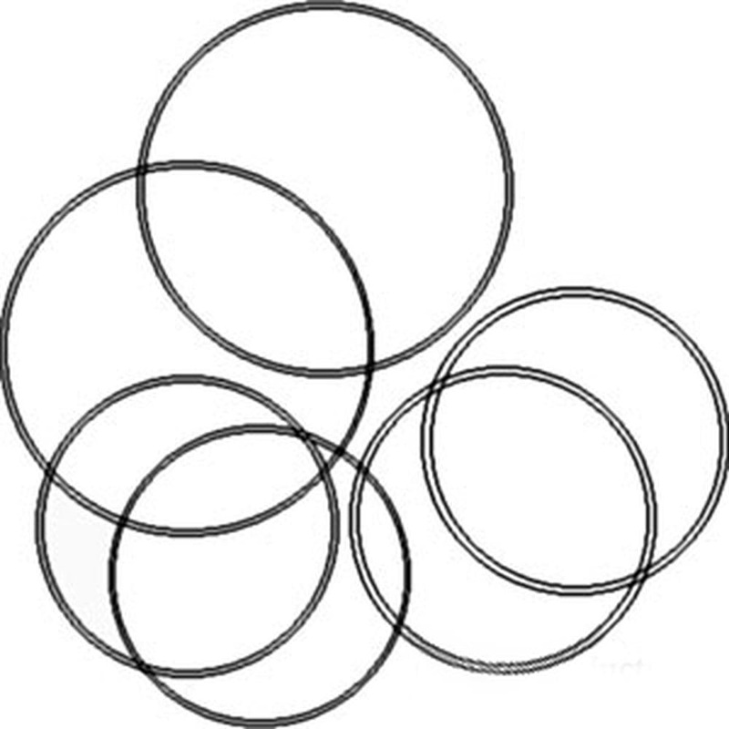 S.57725 O-Ring Kit, Std, 539535R91 Fits Case IH